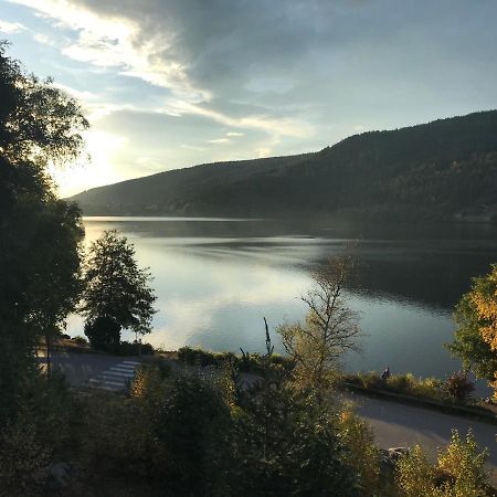 Le Duplex Leilighet Gérardmer Eksteriør bilde
